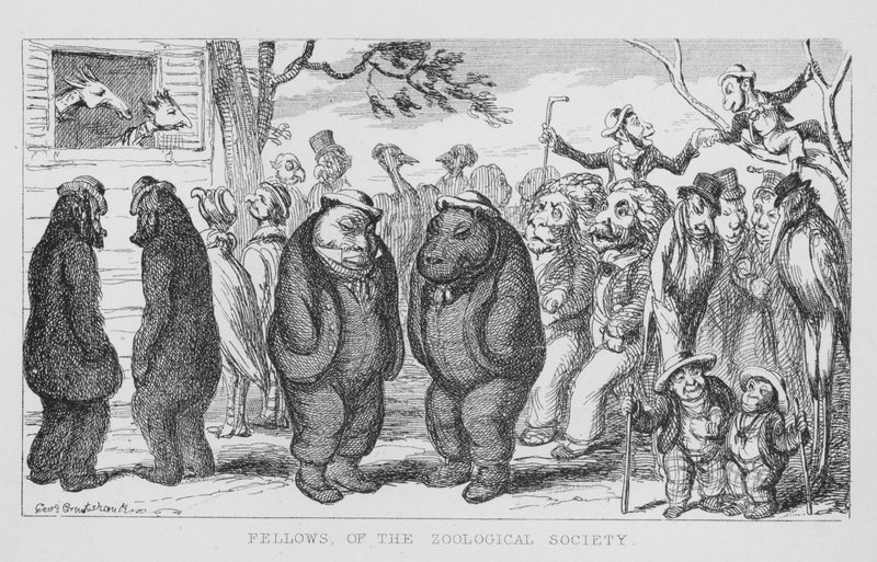 Fellows of the Zoological Society (gravering) av George Cruikshank