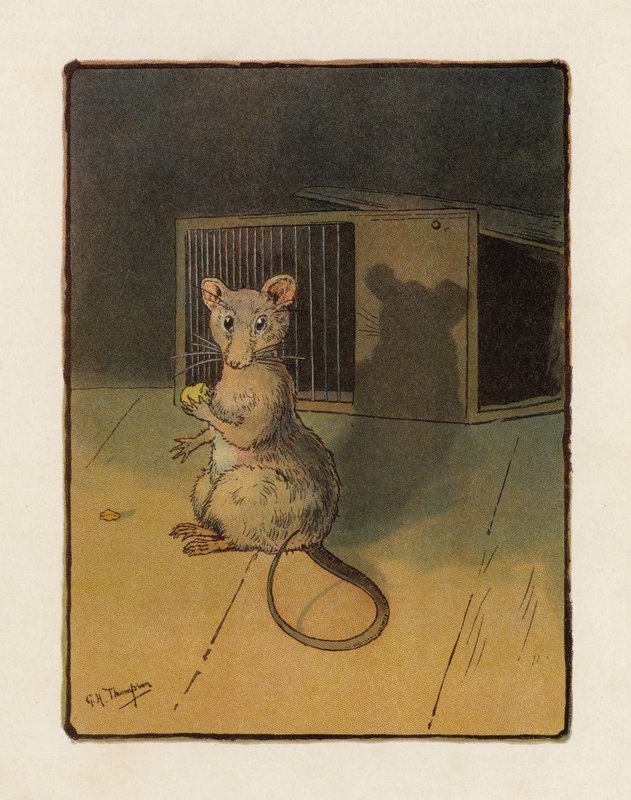 Musen (farge litho) av George Henry Thompson