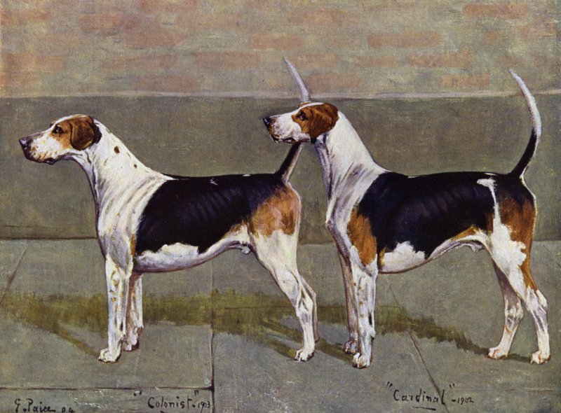 The Puckeridge Foxhounds Colonist and Cardinal av George Paice