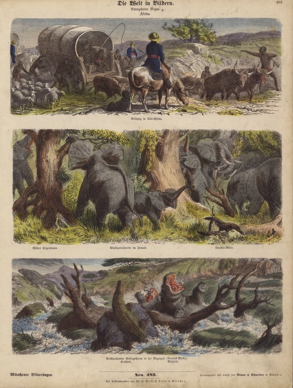 Afrika (farget gravering) av German School