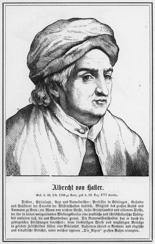 Albrecht von Haller (gravering) av German School