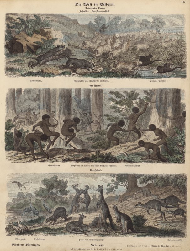 Australia (farget gravering) av German School