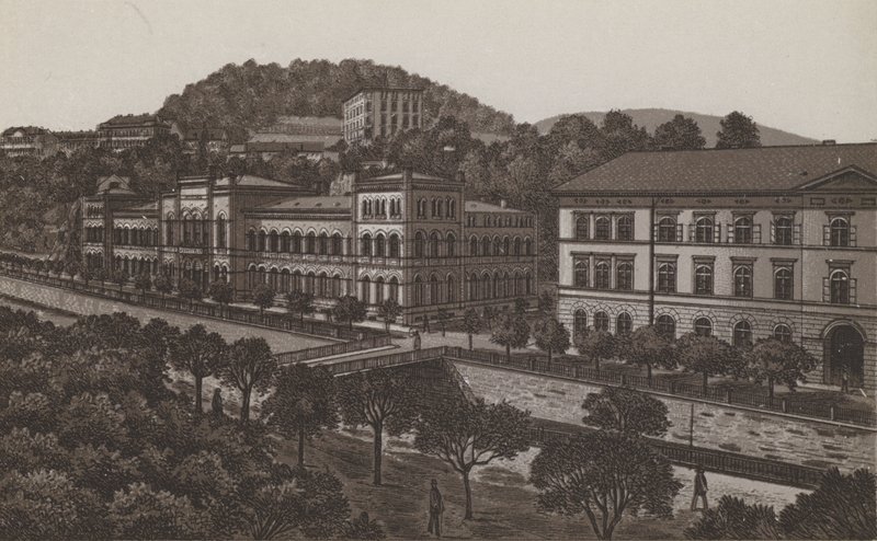 Curhaus (litho) av German School