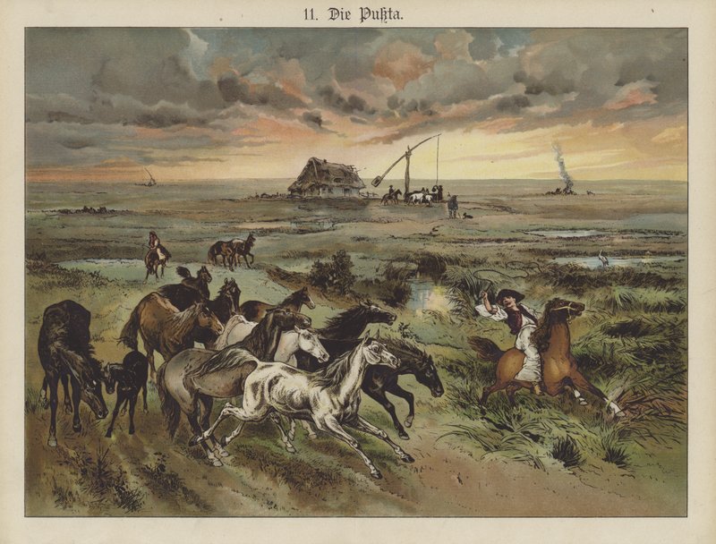 Die Pukta (farge litho) av German School