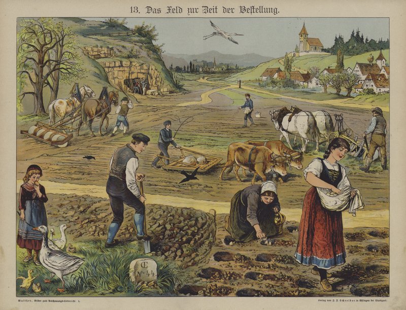 Farming (farge litho) av German School