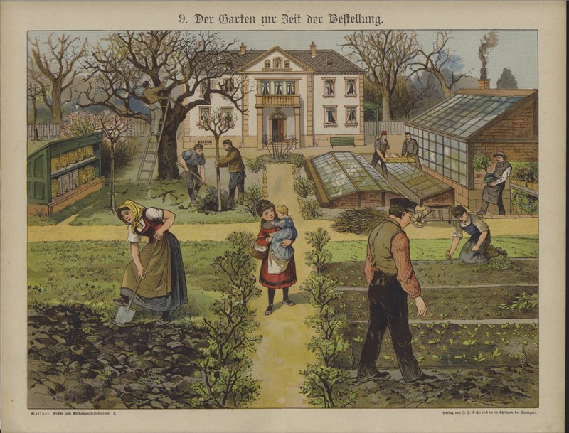 Hage (farge litho) av German School