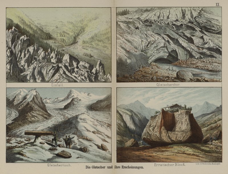 Isbreer og deres trekk (farge litho) av German School