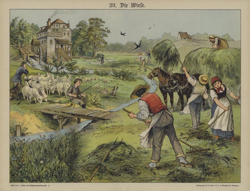 Gress (farge litho) av German School