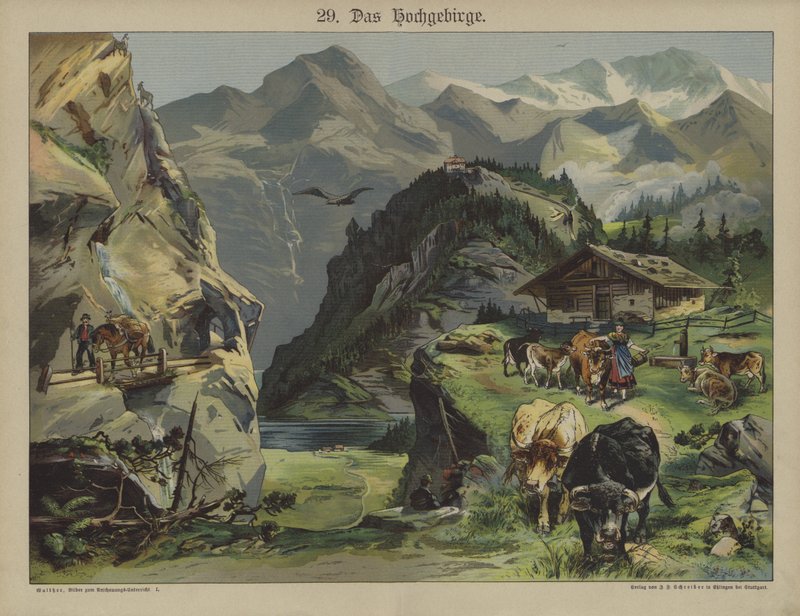 Fjellliv (farge litho) av German School