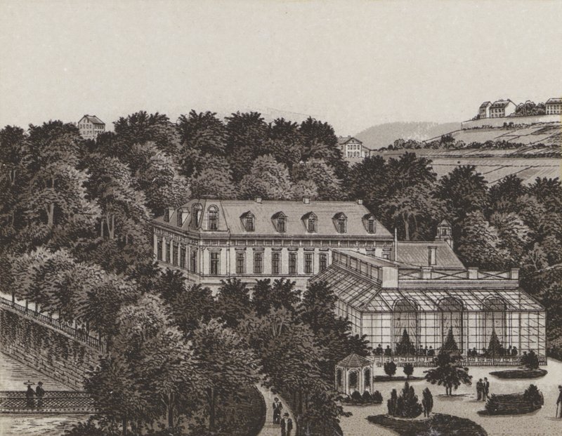 Schonbrunn (litho) av German School