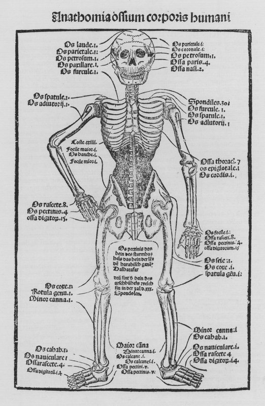 The Book of Cirurgia av Hieronymus Brunschwig av German School