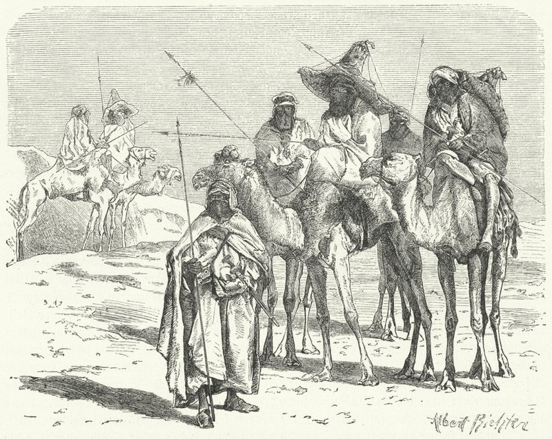 Tuareger (gravering) av German School