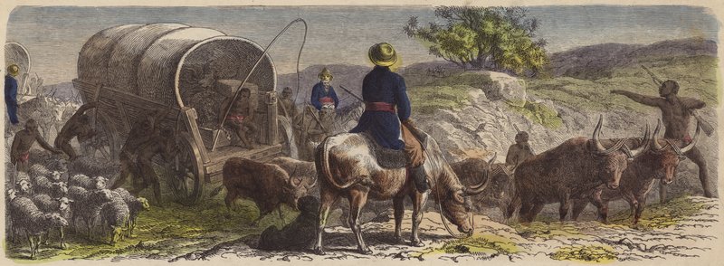 Vogntog i Sør-Afrika (farget gravering) av German School