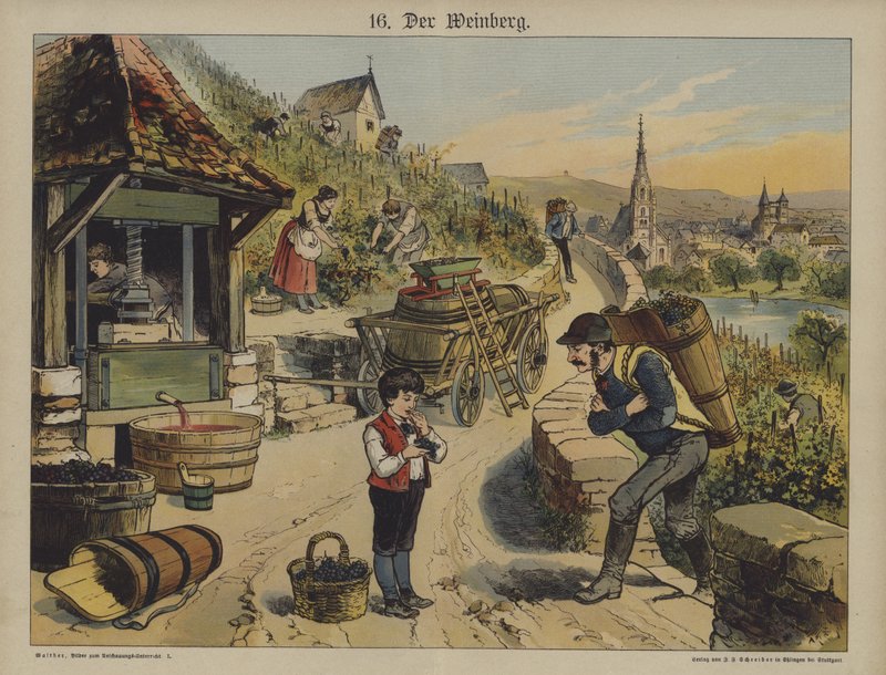 Vin (farge litho) av German School