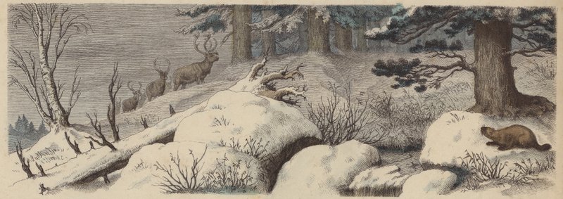 Vinterlandskap i Canada (farget gravering) av German School