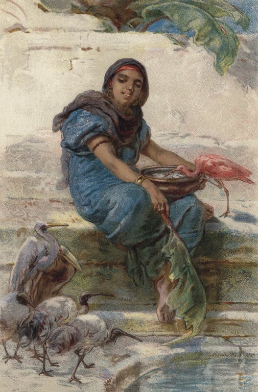 Mate de hellige fuglene (farge litho) av Guido Bach