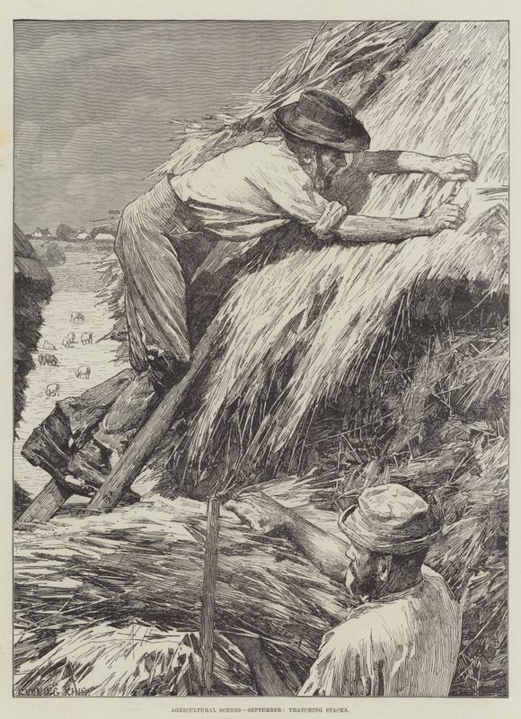 Landbruksscener, september, halmtak av Gunning King