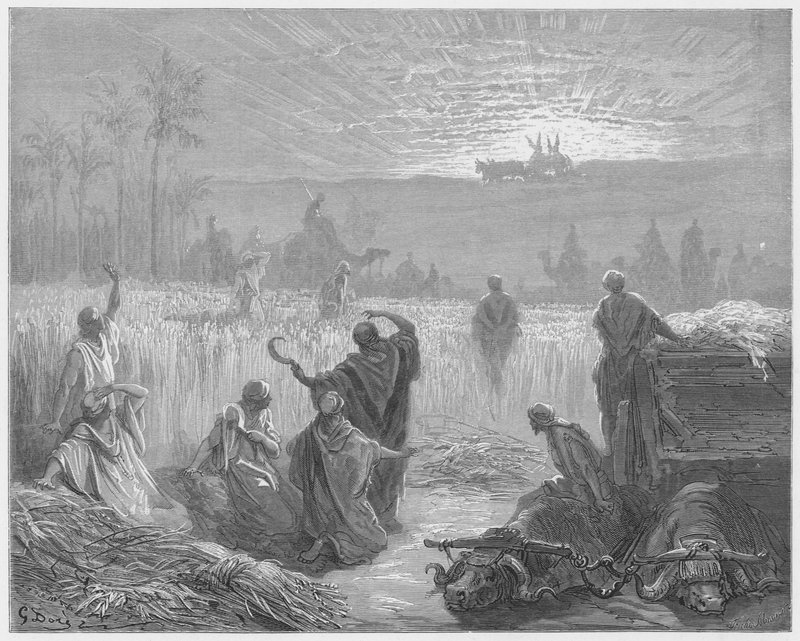Gustave Dore Bible: Return of the Ark to Bet-Shemesh av Gustave Dore