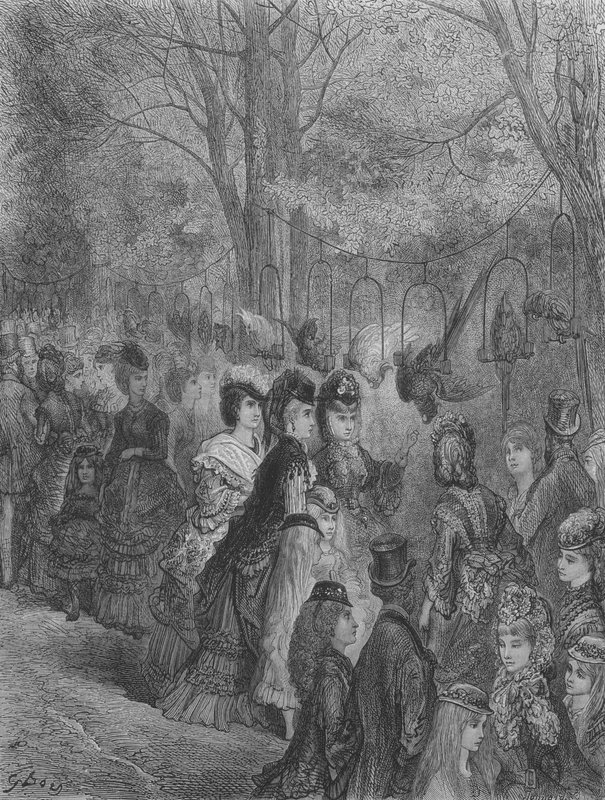 Zoologisk hage, fuglene av Gustave after Dore