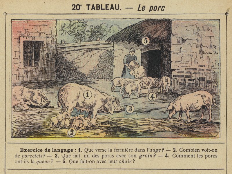 Svinekjøttet (fargemedlemmer) av Gustave Fraipont