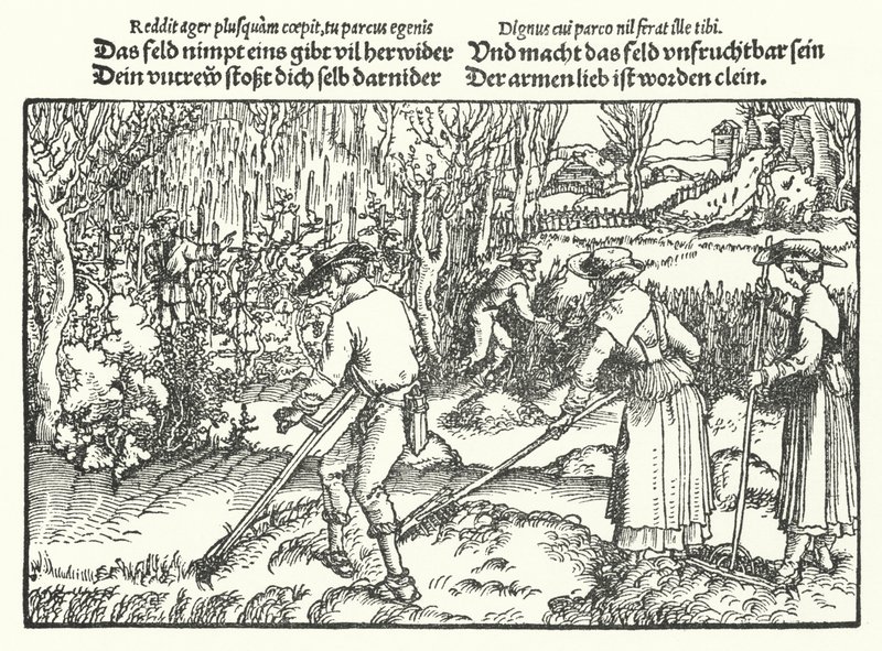 Høsterne (gravering) av Hans (after) Burgkmair