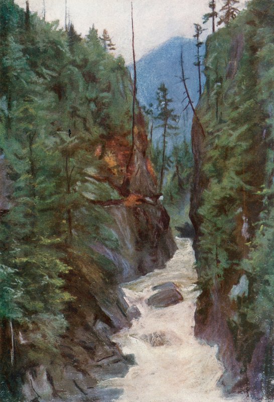 Capilano Canyon, nær North Vancouver av Harold Copping