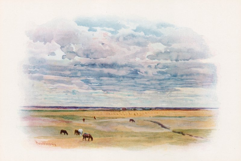 Prærien i Elstow, Saskatchewan av Harold Copping
