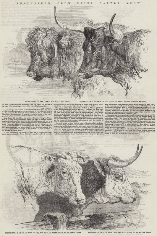 Smithfield Club Prize Cattle Show av Harrison William Weir