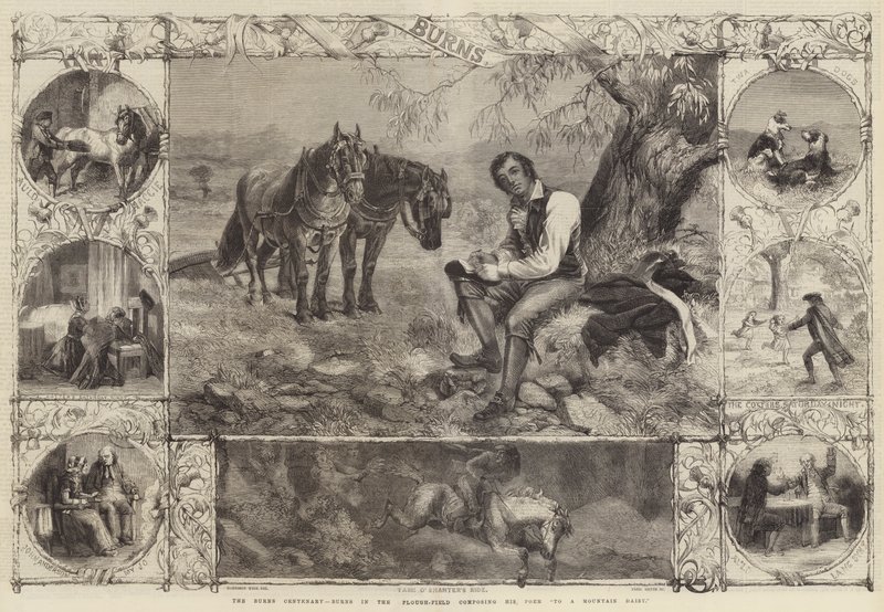 The Burns Centenary, Burns in the Plough-Field komponerer diktet hans til en tusenfryd av Harrison William Weir