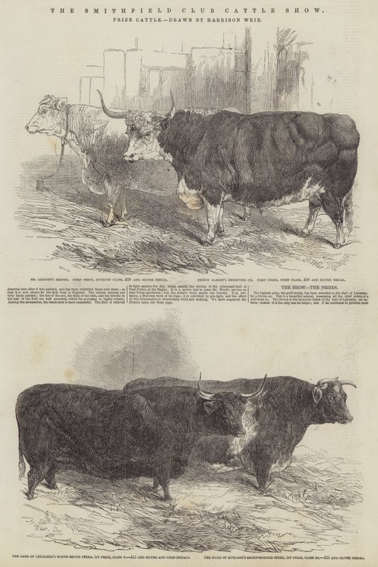 The Smithfield Club Cattle Show, Prize Cattle av Harrison William Weir