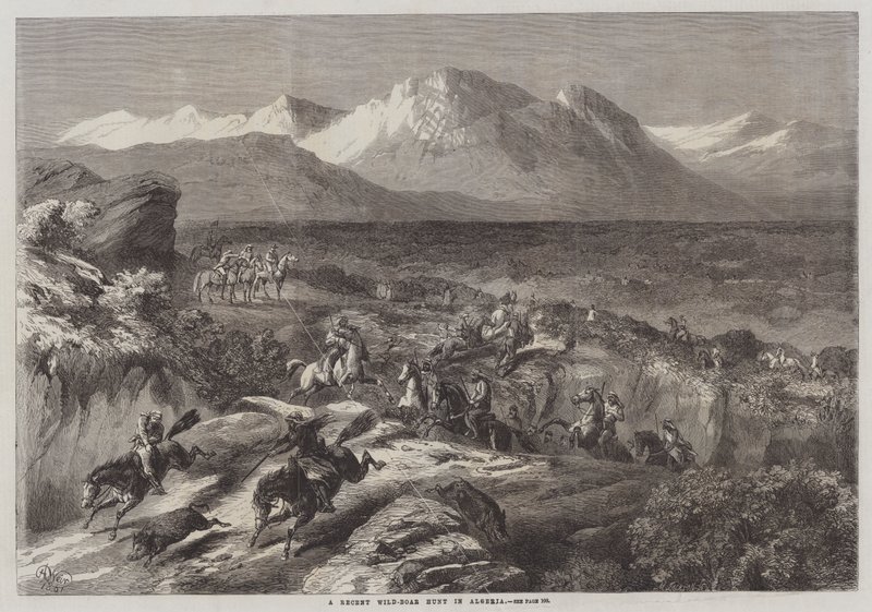 En nylig villsvinjakt i Algerie av Harrison William Weir
