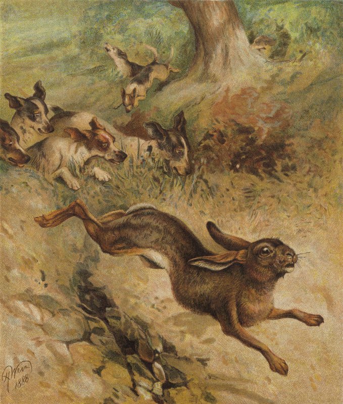 A Run for Life (chromolitho) av Harrison William Weir