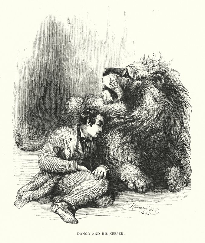 Løven og vokteren hans (gravering) av Harrison William Weir