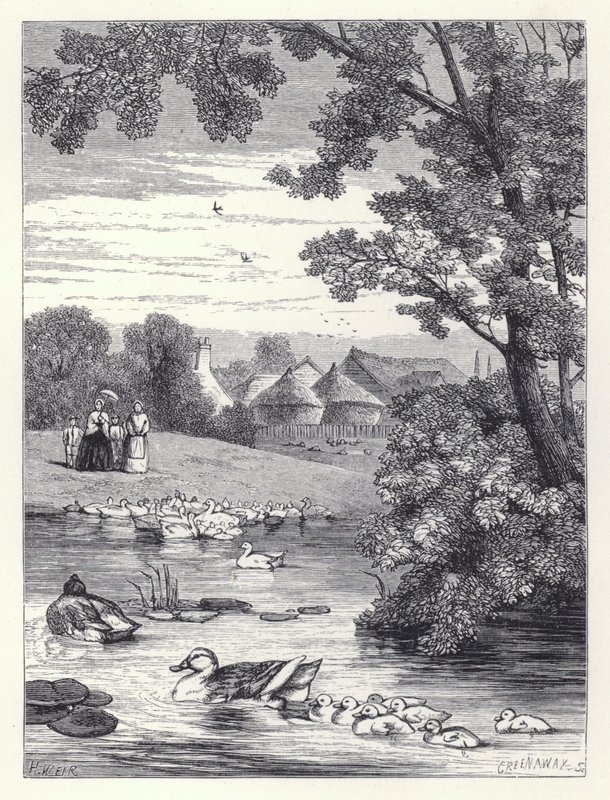 Andedammen (gravering) av Harrison William Weir