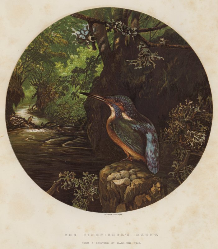 Kingfisherens tilholdssted av Harrison William Weir