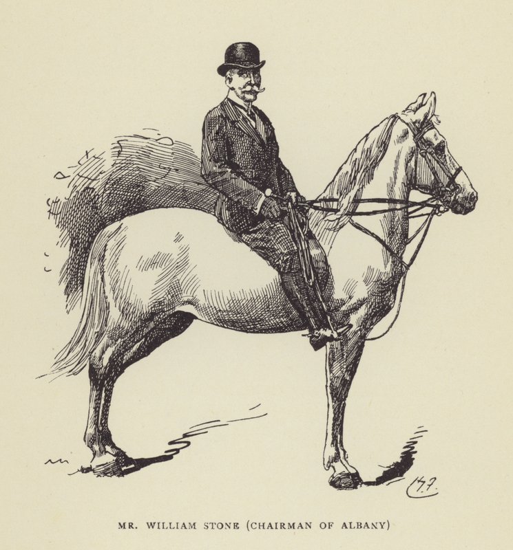 Mr William Stone, styreleder i Albany av Harry Furniss