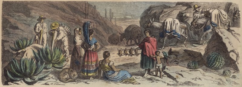 En fjellvei i Mexico (farget gravering) av Heinrich Leutemann