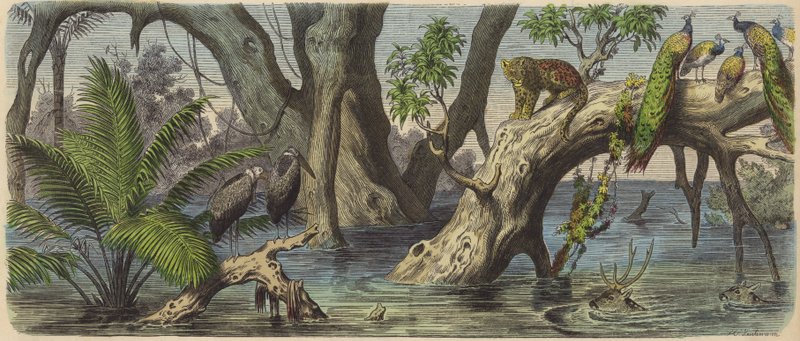 Flom i det østlige India (farget gravering) av Heinrich Leutemann