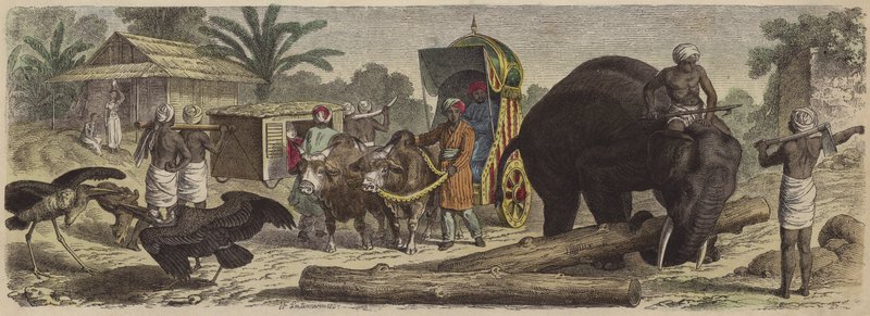 Scene i Bengal, India (farget gravering) av Heinrich Leutemann