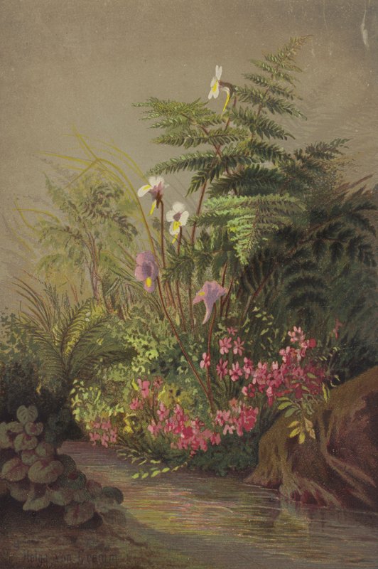 Blomster ved siden av en bekk av Helga von Cramm