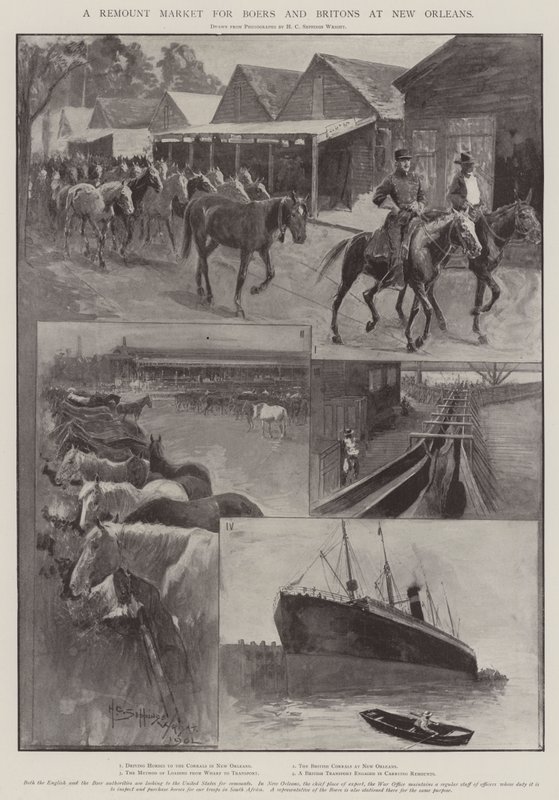 Et remount-marked for boere og briter i New Orleans av Henry Charles Seppings Wright