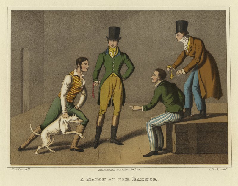 A Match at the Badger (chromolitho) av Henry Thomas Alken