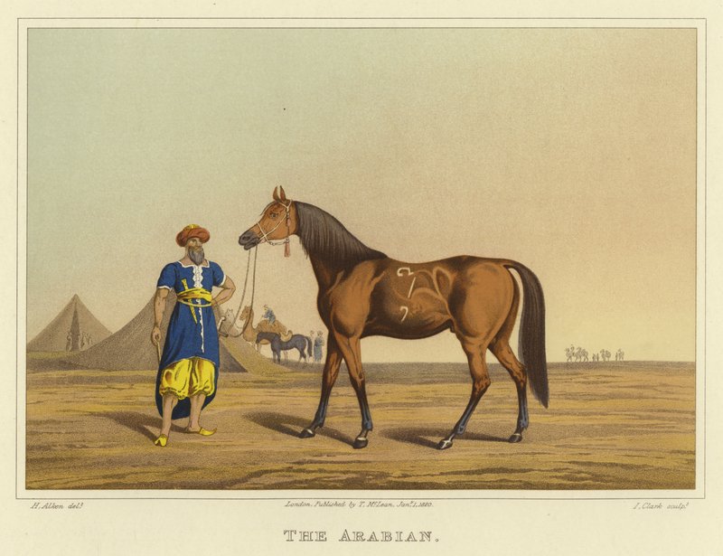 Arabisk (chromolitho) av Henry Thomas Alken
