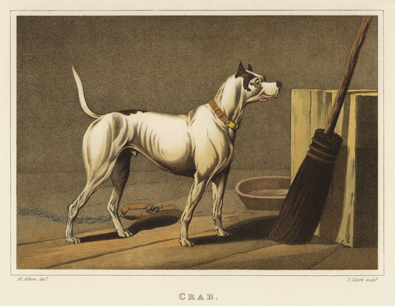 Krabbe (chromolitho) av Henry Thomas Alken