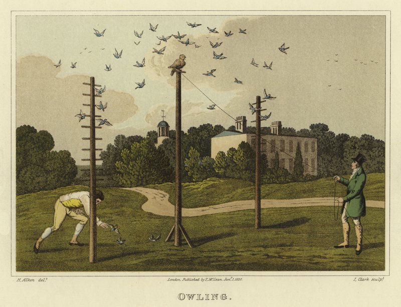 Ugle (chromolitho) av Henry Thomas Alken