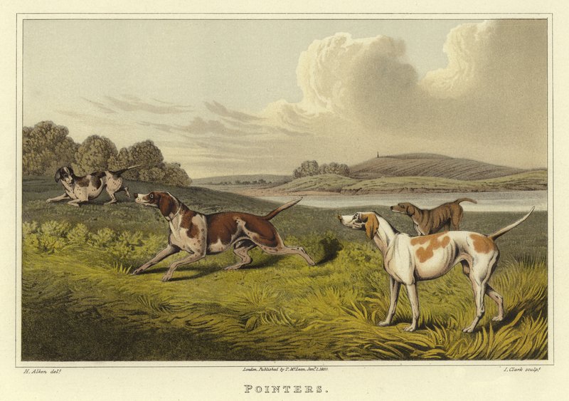 Pekere (chromolitho) av Henry Thomas Alken