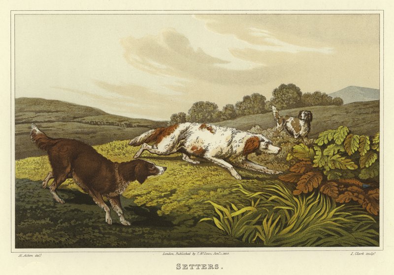 Settere (chromolitho) av Henry Thomas Alken