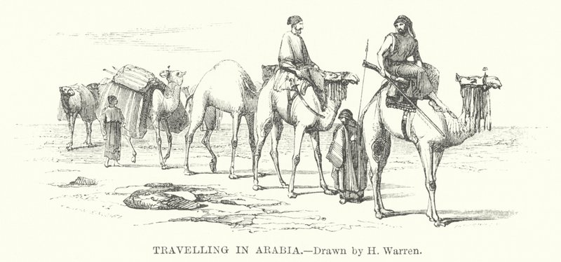 Reise i Arabia (gravering) av Henry (after) Warren