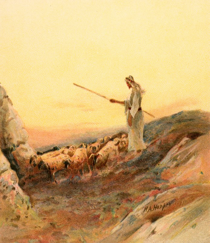 En hyrde som teller sauene sine av Henry Andrew Harper