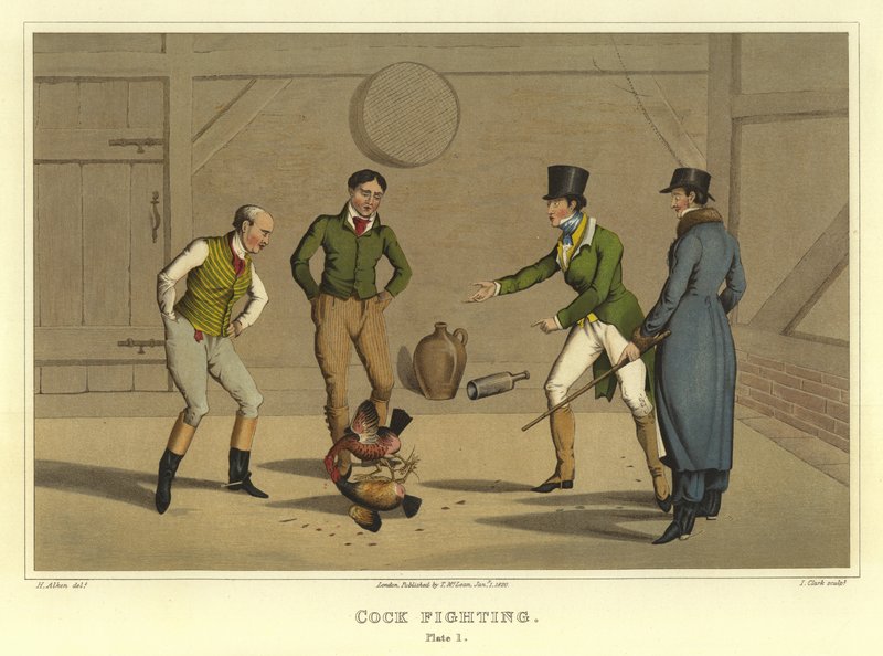 Hanekamp (chromolitho) av Henry Thomas Alken